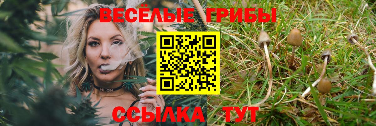 Псилоцибиновые грибы Cubensis  Галлюциногенные грибы Psilocybe  цены наркотик  Вход с VPN  Клин 